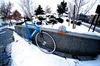 Karl II -- Planet X Track Pro, Guru Blue photo