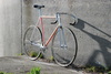 Karl's Custom Banani Pista photo