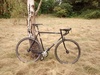 Surly Steamroller photo