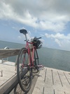 KHS Flite 100 photo