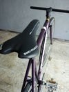 KHS flite 100 purple 2011 fixed gear photo