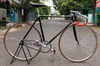 King Speed NJS photo