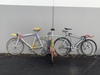 Kiwi and Aussie track pursuit bikes photo