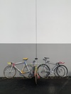 Kiwi and Aussie track pursuit bikes photo