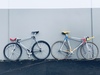 Kiwi and Aussie track pursuit bikes photo