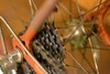 80's Koga Miyata Roadspeed photo