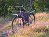 Kona Fire Mountain photo Kona Fire Mountain photo