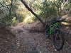 Kona Honzo Rigid Single Speed photo