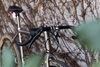 Kona Rove Ti photo