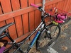 Kona Ute photo