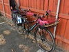 Kona Ute photo