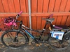Kona Ute photo