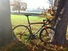 Kona Zing Supreme Carbon - Ultegrace photo