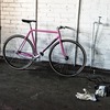 Konga track photo