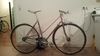 Kotter "Fixed Mixte" RIP photo