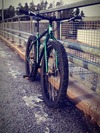 Surly Krampus photo