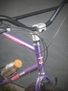 Kuwahara M3.5 Parkway photo