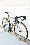 Land Shark Road Shark 51cm photo