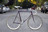 Land Shark Track Shark (frame for sale) photo