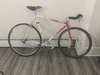 Land Shark TT Singlespeed Conversion photo