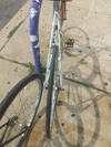 Land Shark TT Fixed Conversion photo Land Shark TT Fixed Conversion photo