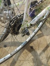 Land Shark TT Fixed Conversion photo Land Shark TT Fixed Conversion photo