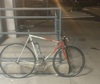 Land Shark TT Singlespeed Conversion photo