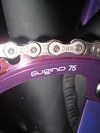 Specialized Langster Pro 2013 photo