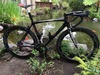 LaPierre Xelius Web Series custom photo