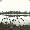 LAVILLE (French custom track bike) photo