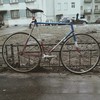 LAVILLE (French custom track bike) photo