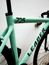 2013 Seafoam Green Leader 725TR photo