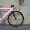 Leader 725 x Repaint Pink photo