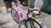 Leader 725 x Repaint Pink photo