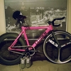 Leader 725TR - Pink - Nikki photo