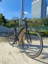 Leader 727tr photo