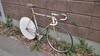 Legnano Tipo Roma Pista photo
