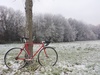 LeTo Cyclocross photo