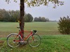 LeTo Cyclocross photo