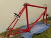 LeTo Cyclocross photo