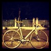 Lily (Bianchi Pista via Brera) photo