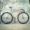 Lily (Bianchi Pista via Brera) photo