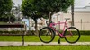 LimaFixedBikes Pursuit Frame photo