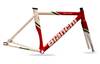 (Limited Edition) Bianchi Super Pista Tr photo