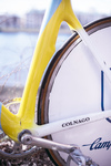 АНТК им. Антонова ΣLIN Colnago Ukraine photo