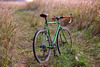 Lis Custom Gravel bike photo