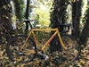 2005 Lisanna Cyclo-cross photo
