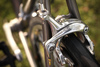 Litespeed Arenberg photo