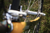 Litespeed Arenberg photo