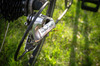 Litespeed Arenberg photo